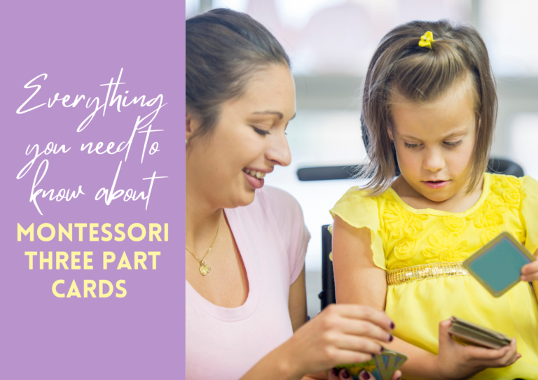Montessori 3 Part Cards – Everything You Need to Know